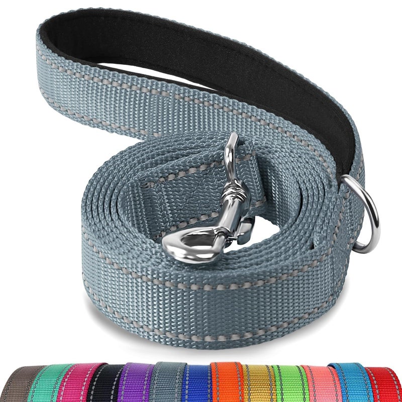 Joytale Dog Leash, 6 FT Double-Sided Reflective, Padded Handle Nylon Heavy Duty Leashes for Medium & Large Dogs Walking, Gary, 6FT - Image 1